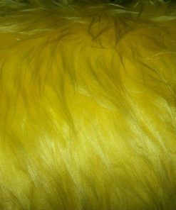 Dacha lisa o pelo largo - Color amarillo huevo - Cambio de tintada