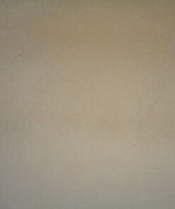 Antelina Lisa – Color Beige